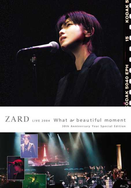ZARD:What a beautiful moment Tour